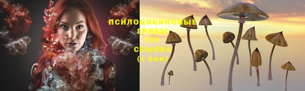 ALPHA-PVP Беломорск