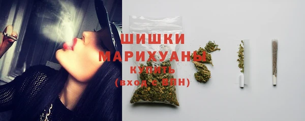 шишки Богородск
