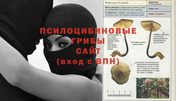 2c-b Белокуриха