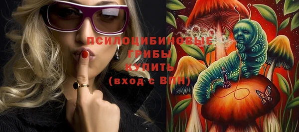 шишки Богородск